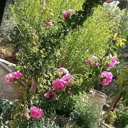 Datça, Mesudiye 'de Müstakil,Günlük,KİRALIK Villa