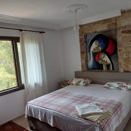 Datça, Mesudiye 'de Müstakil,Günlük,KİRALIK Villa Villa *