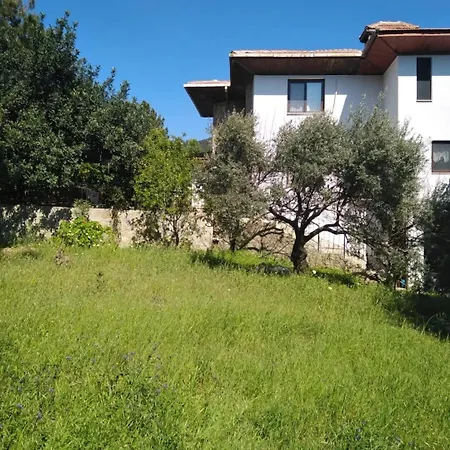 Datça, Mesudiye 'de Müstakil,Günlük,KİRALIK Villa