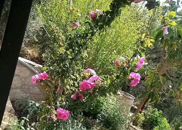 Datca, Mesudiye 'de Muestakil,guenluek,kiralik