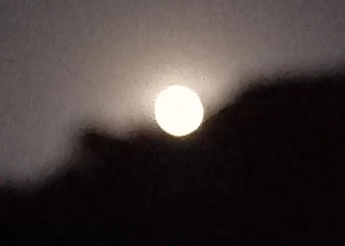 Datca, Mesudiye 'de Muestakil,guenluek,kiralik Datça