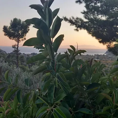 Vila Datca, Mesudiye 'de Muestakil,guenluek,kiralik *