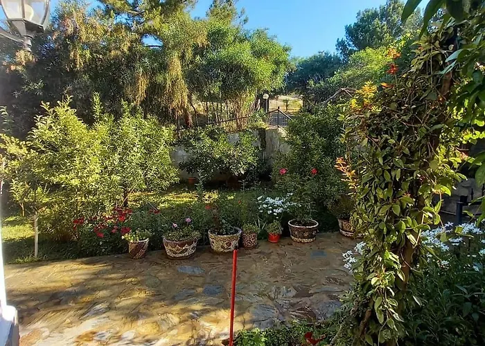 Datca, Mesudiye 'de Muestakil,guenluek,kiralik